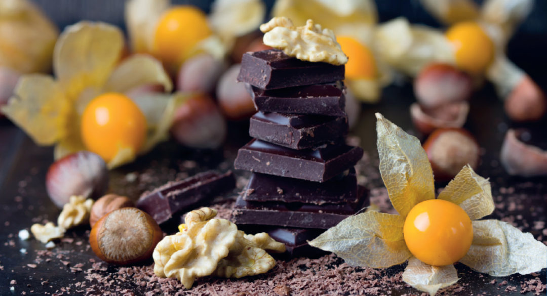 Chocolate Coco Nuts and Physalis Banner