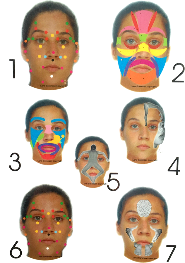 Facial Reflexology Seven Faces