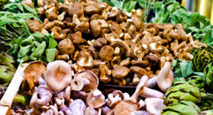 Mushrooms Super Food