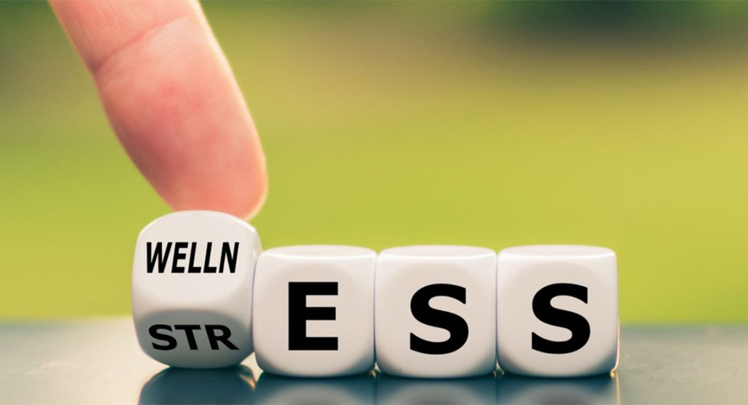 Wellness and Stress Dice