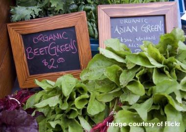 Lovely greens on sale